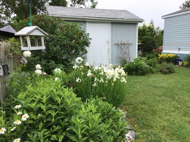 11 K Street Bangor ME 04401