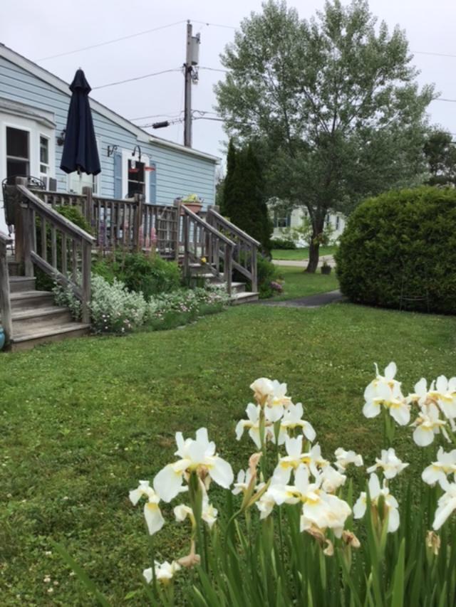 11 K Street Bangor ME 04401