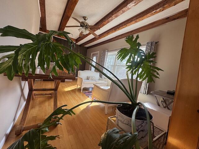 56 South Road Oakfield ME 04763
