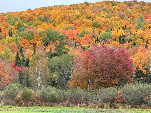 56 South Road Oakfield ME 04763