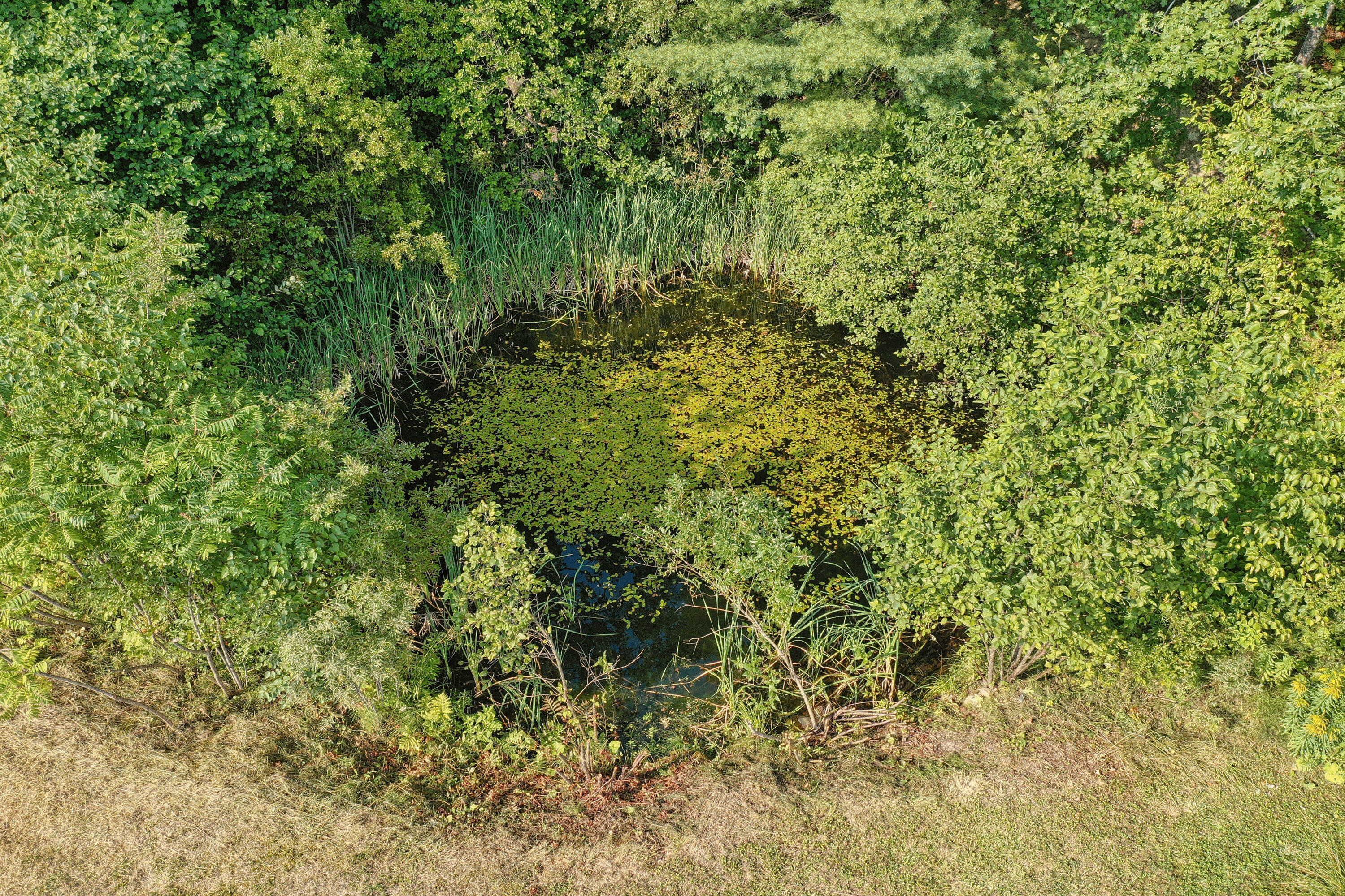 175 Loggin Road Frankfort ME 04438