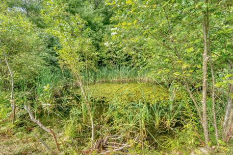 175 Loggin Road Frankfort ME 04438