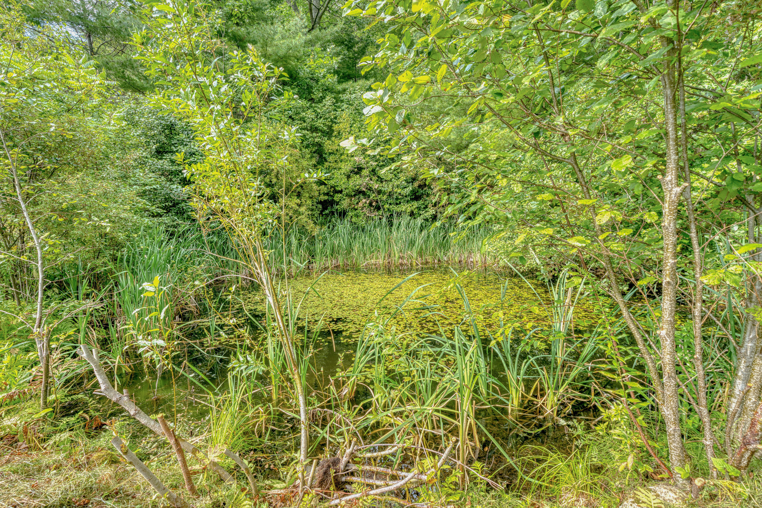 175 Loggin Road Frankfort ME 04438