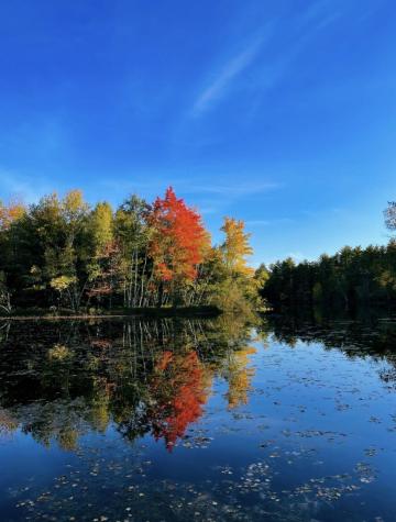 50 Island Road Limerick ME 04048