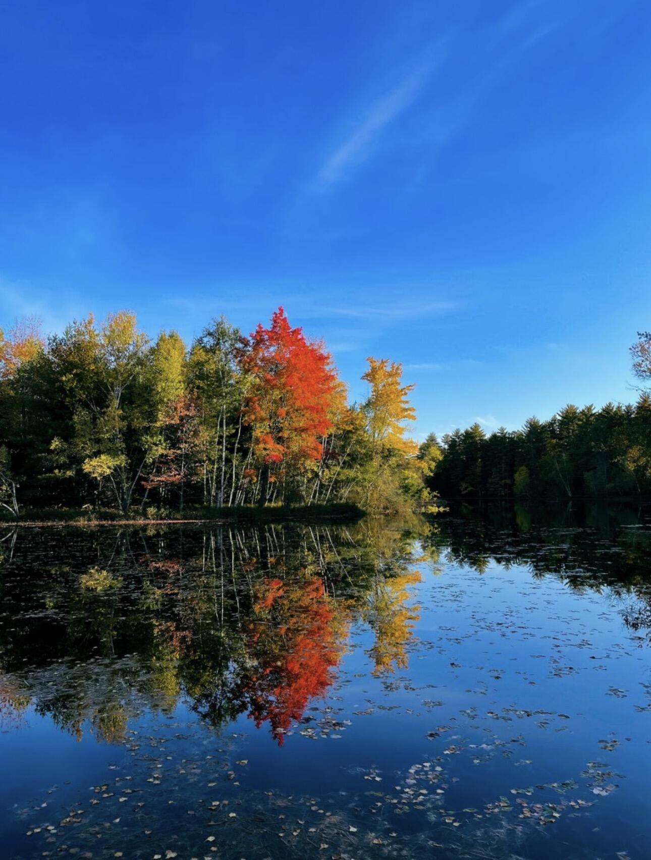 50 Island Road Limerick ME 04048