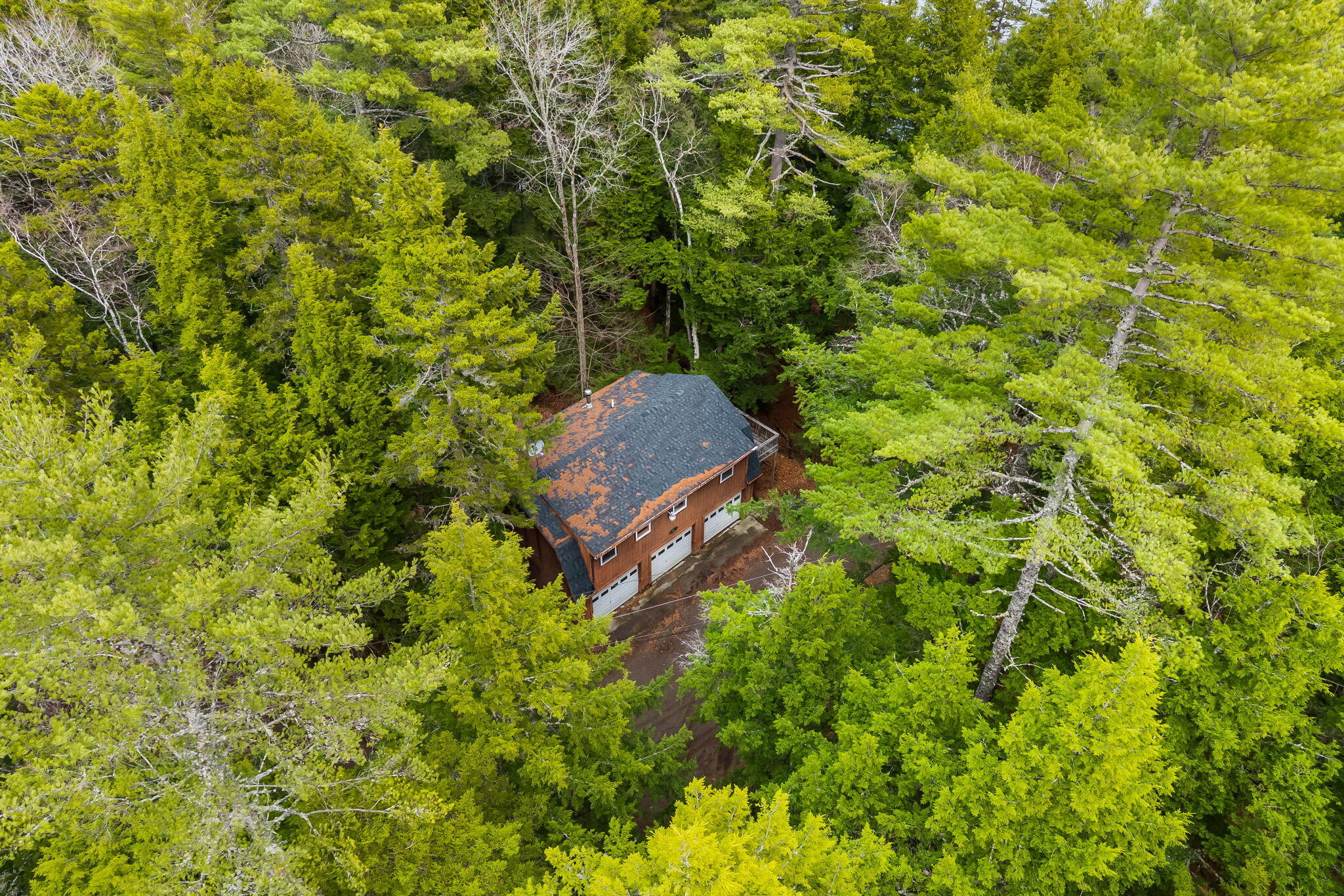 154 Seymour Cove Road Bowerbank ME 04426