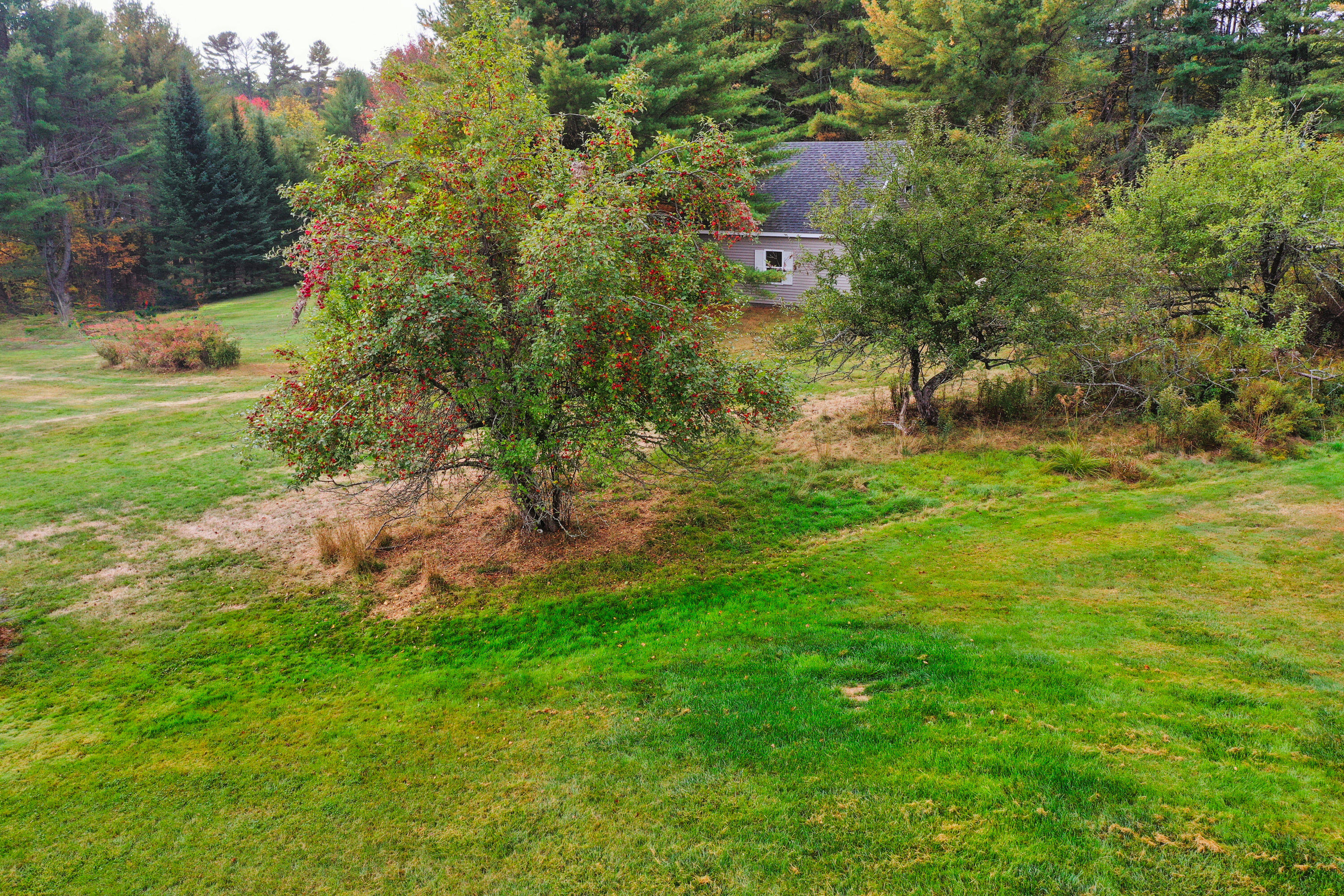 87 Beechwood Lane Orland ME 04472