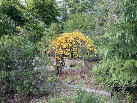 67 Spiller Road Gorham ME 04038