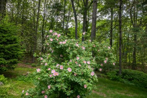 5 Woodridge Road Brewer ME 04412