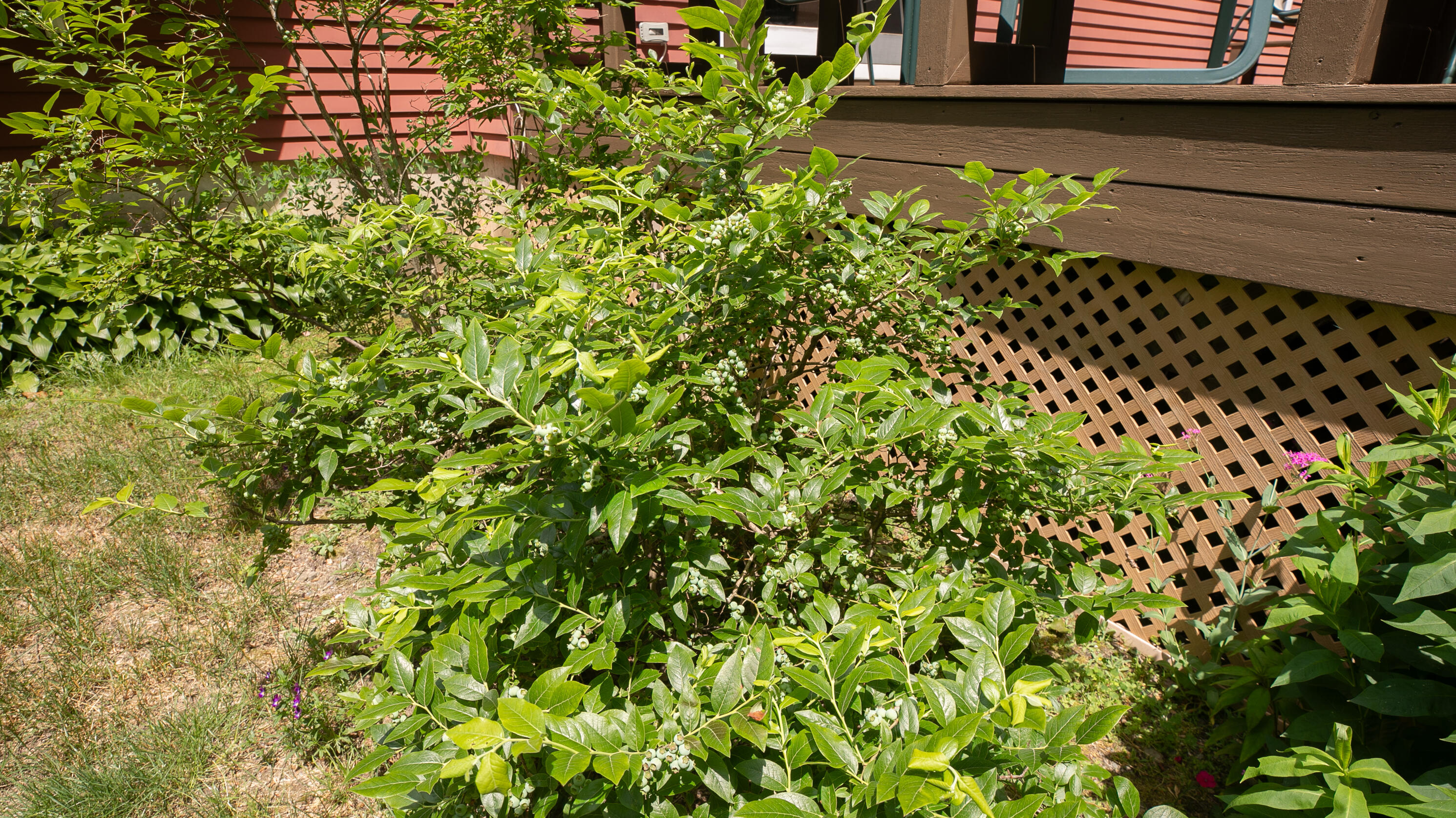 5 Woodridge Road Brewer ME 04412