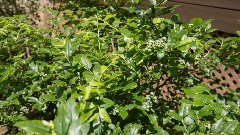 5 Woodridge Road Brewer ME 04412