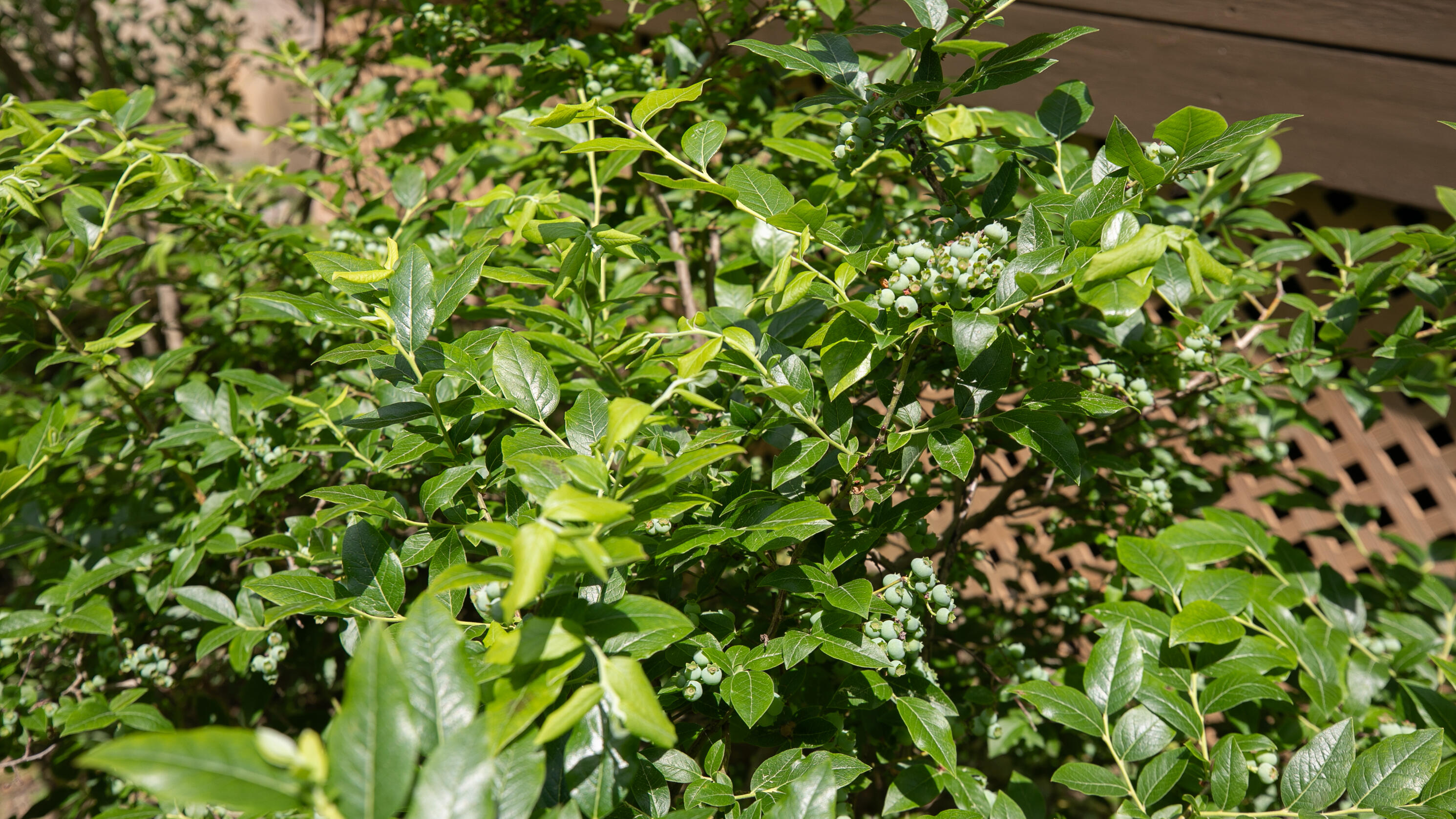 5 Woodridge Road Brewer ME 04412