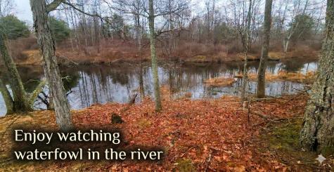 18 Littlefield Court North Berwick ME 03906