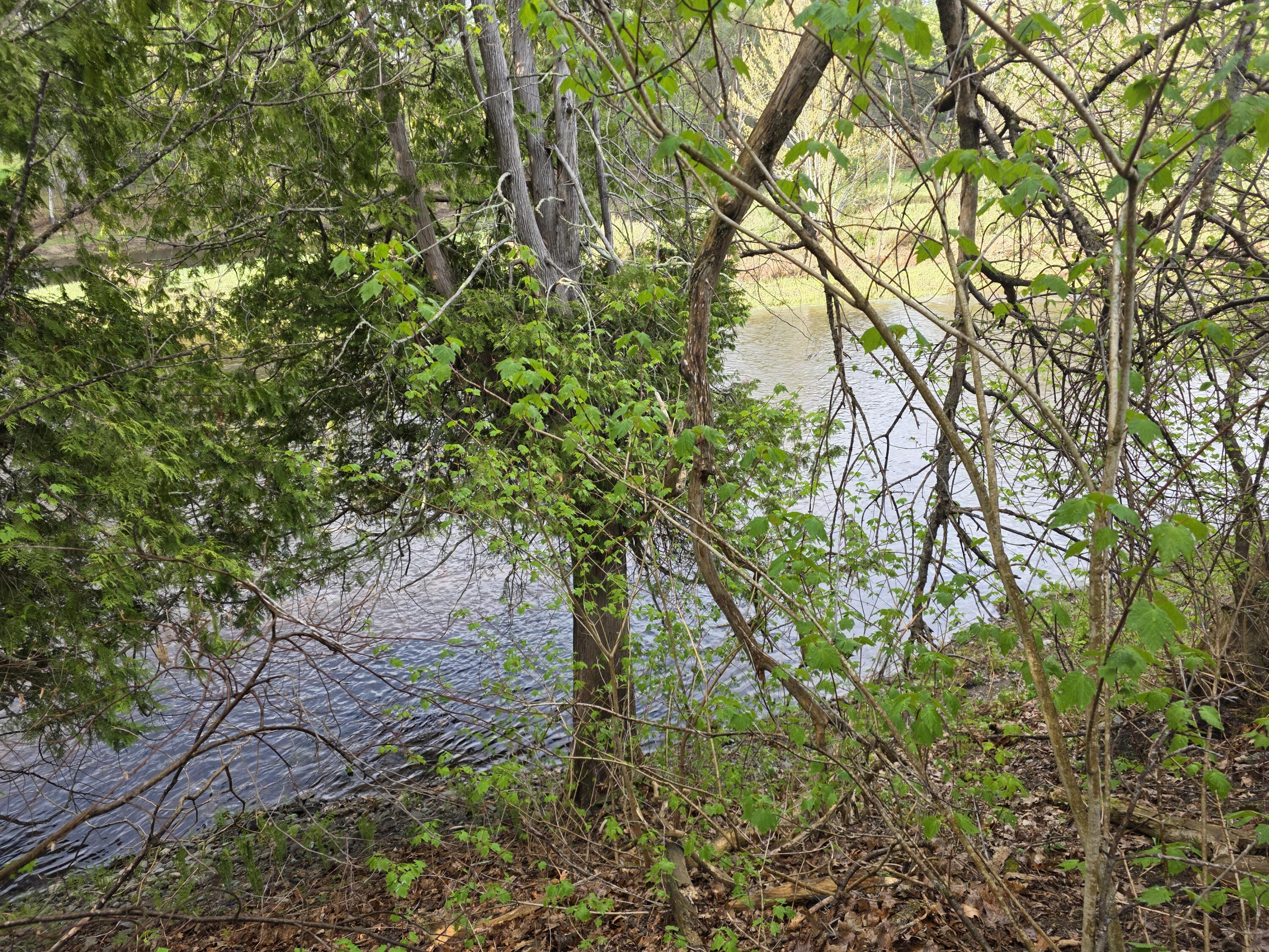 46 Harding Street Island Falls ME 04747