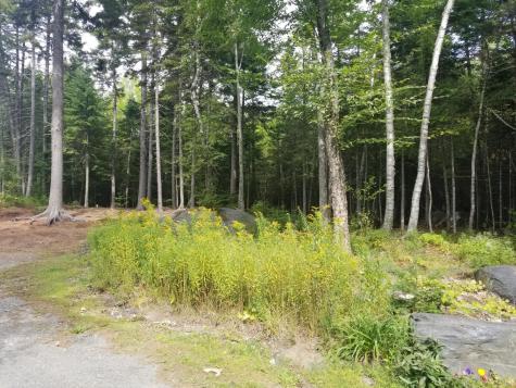75 Wayne Avenue Greenville ME 04441