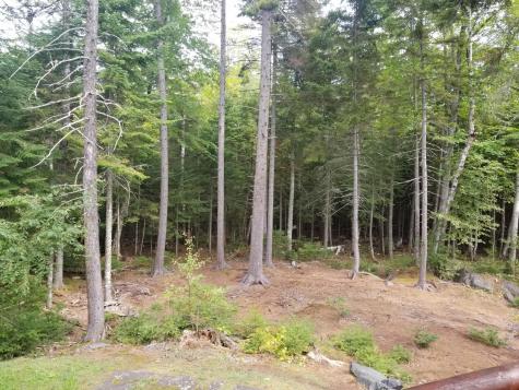 75 Wayne Avenue Greenville ME 04441