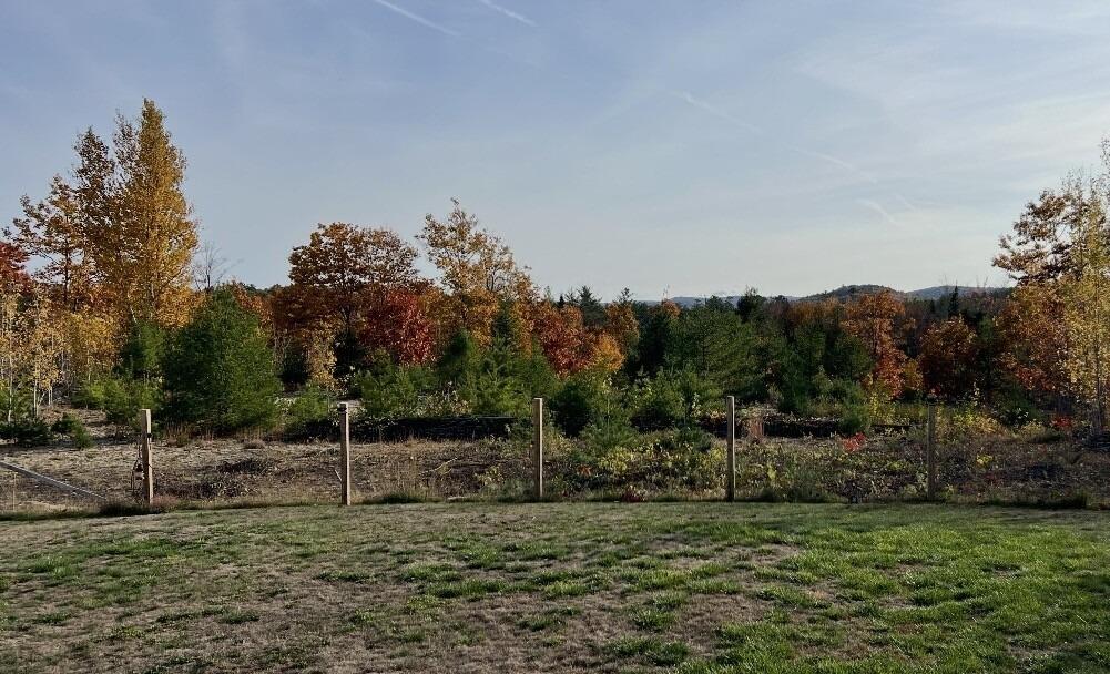 236 Strickland Ferry Road Wayne ME 04284
