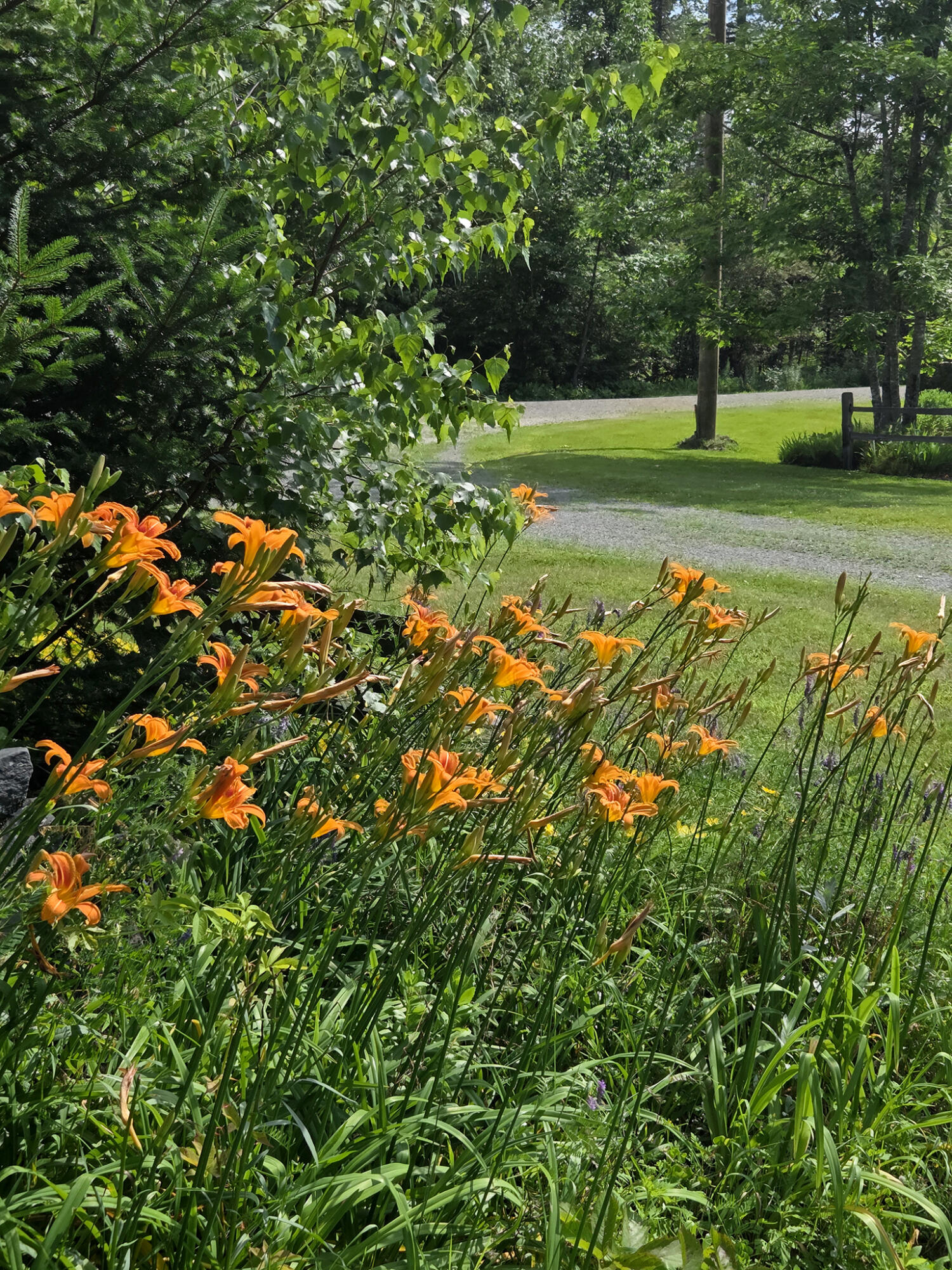 139 Five Road Carmel ME 04419