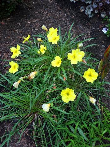 139 Five Road Carmel ME 04419