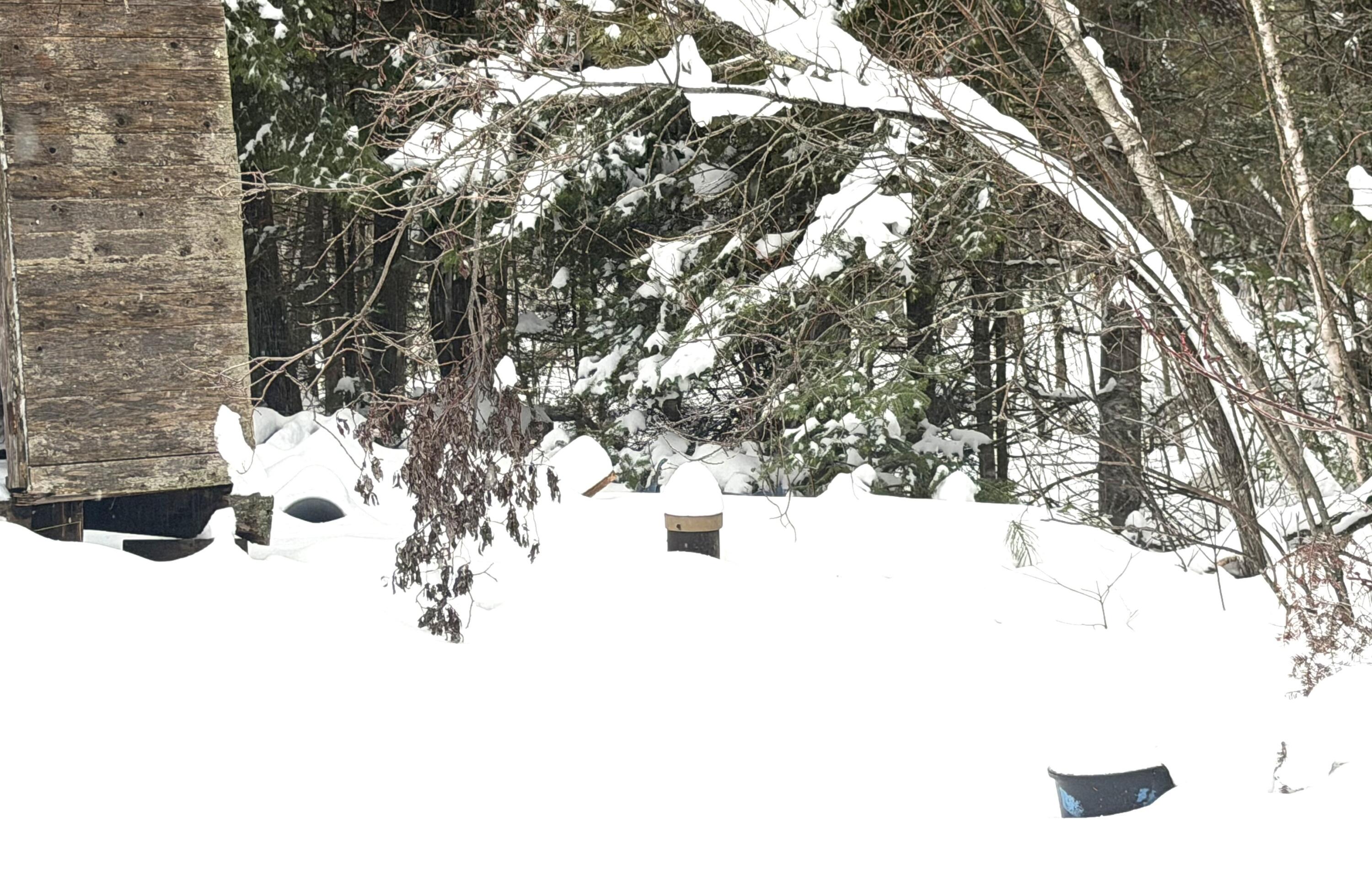 296 Valley Avenue Road Exeter ME 04435