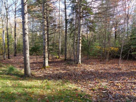 24 Tamarac Road Ellsworth ME 04605
