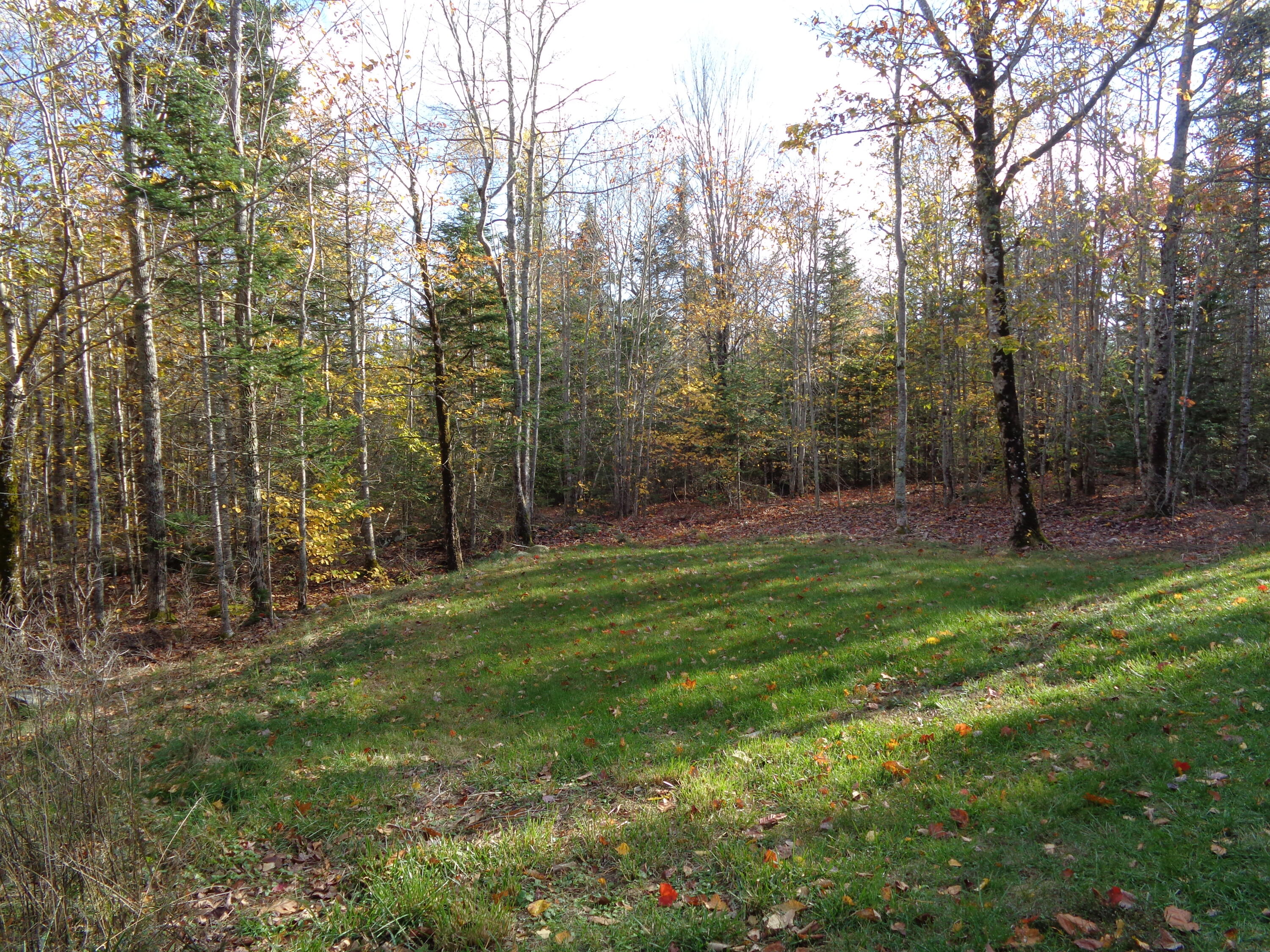 24 Tamarac Road Ellsworth ME 04605