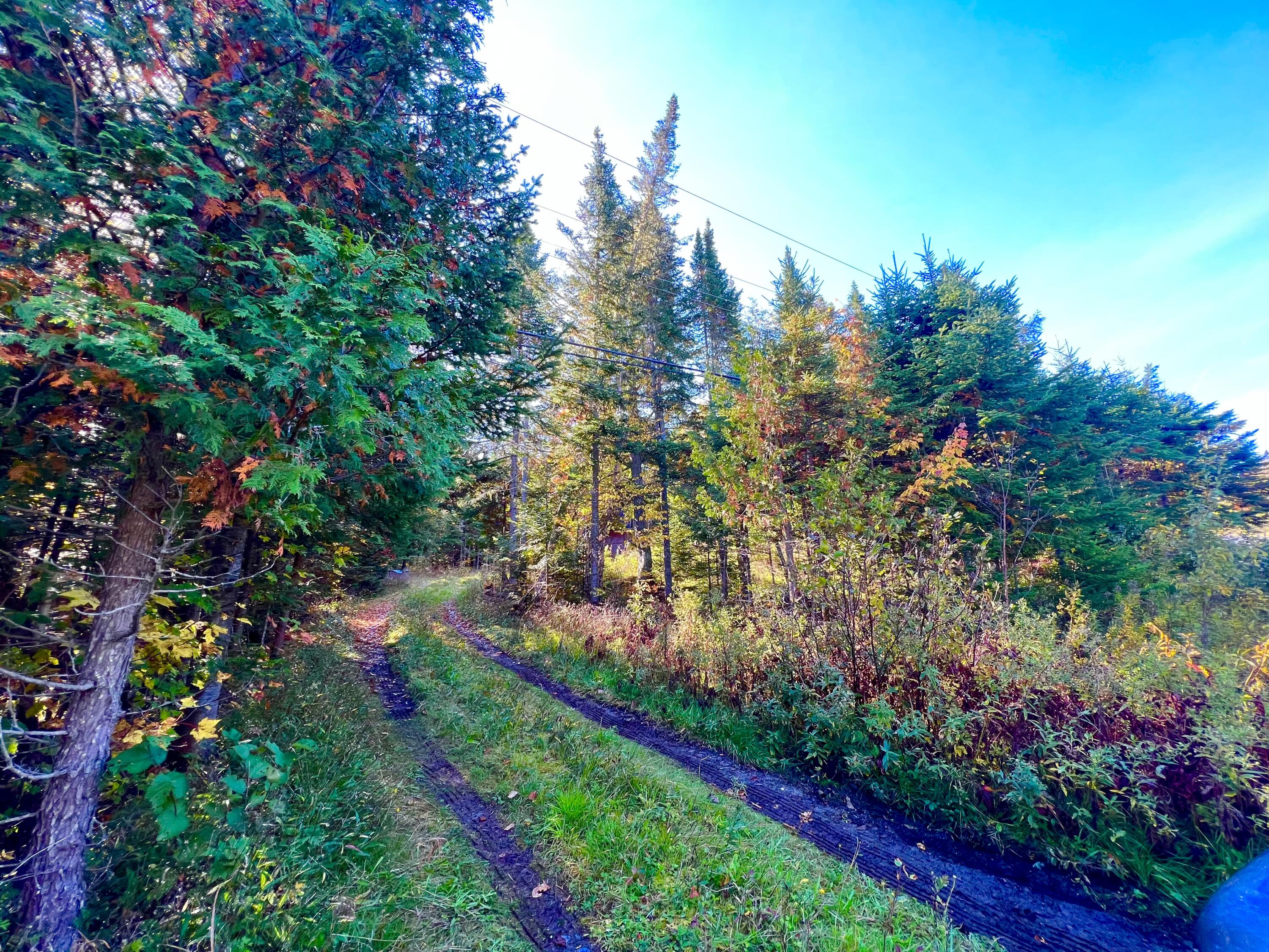 67 Saddleback Mountain Road Dallas Plt ME 04970