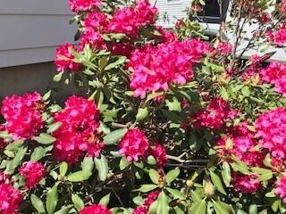 16 Rutland Street Bangor ME 04401