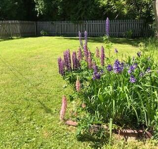 16 Rutland Street Bangor ME 04401