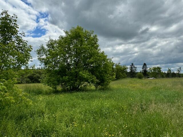 274 Shadagee Road Cornville ME 04976