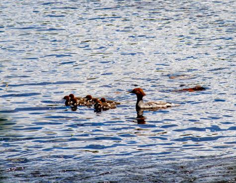 129 Philbrick Street Farmington ME 04938