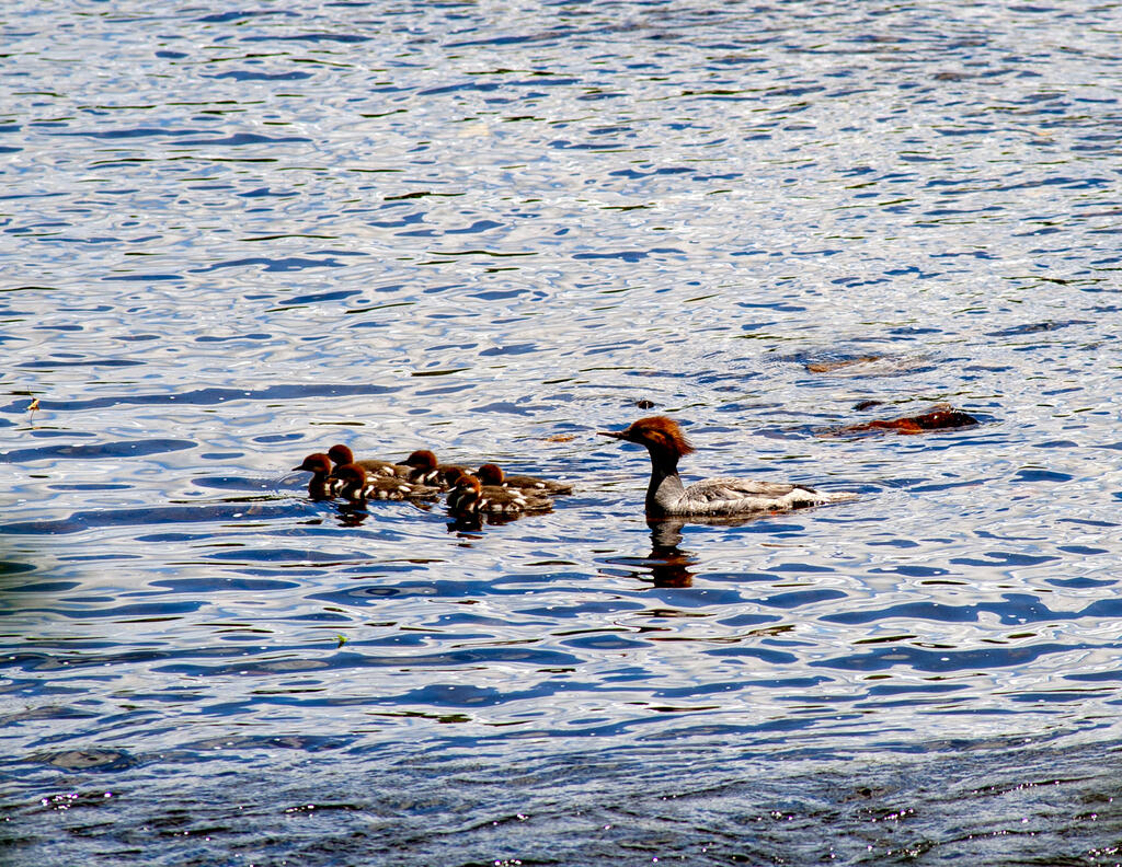 129 Philbrick Street Farmington ME 04938