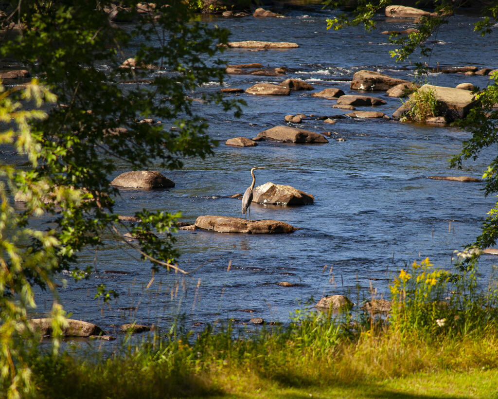 129 Philbrick Street Farmington ME 04938