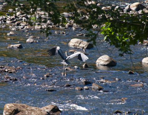 129 Philbrick Street Farmington ME 04938