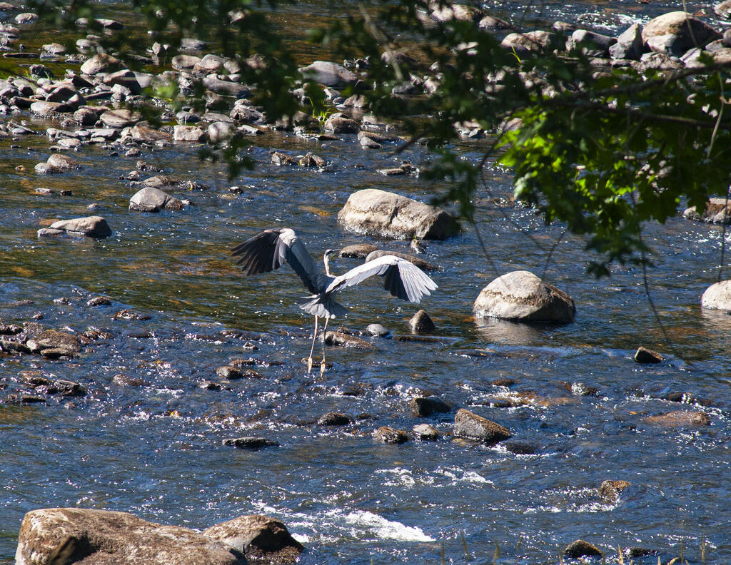 129 Philbrick Street Farmington ME 04938