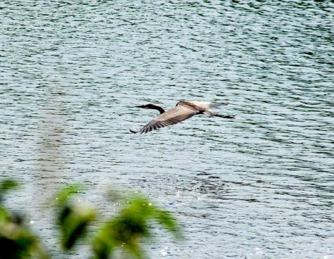 129 Philbrick Street Farmington ME 04938