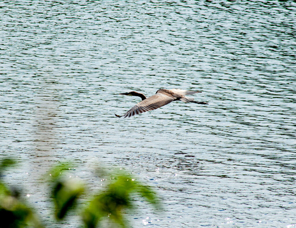 129 Philbrick Street Farmington ME 04938