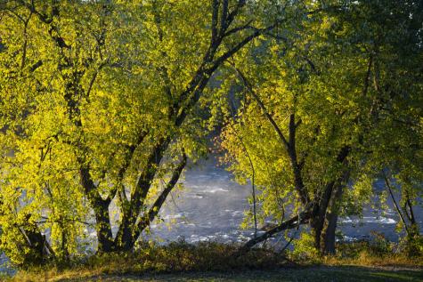 129 Philbrick Street Farmington ME 04938