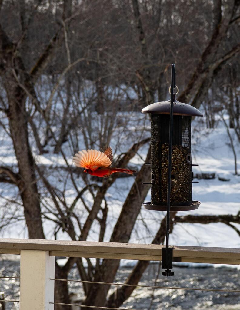 129 Philbrick Street Farmington ME 04938