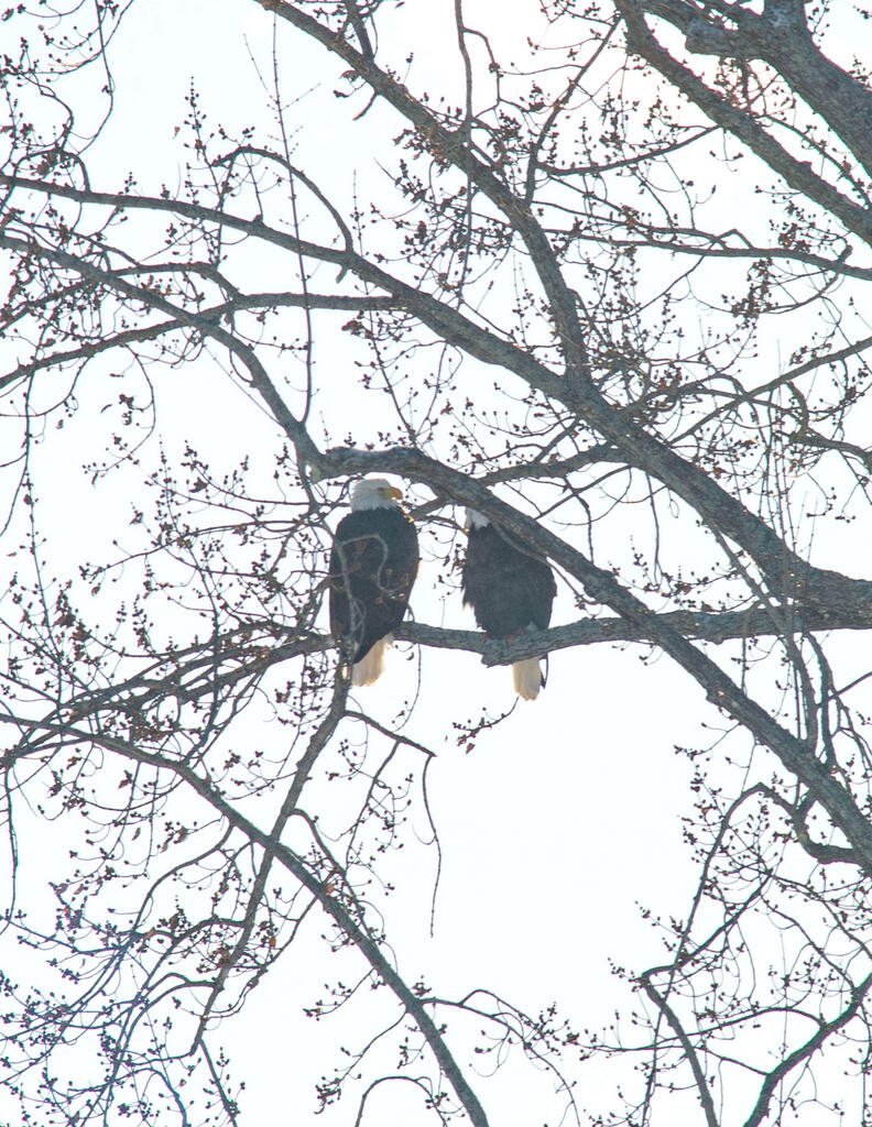 129 Philbrick Street Farmington ME 04938