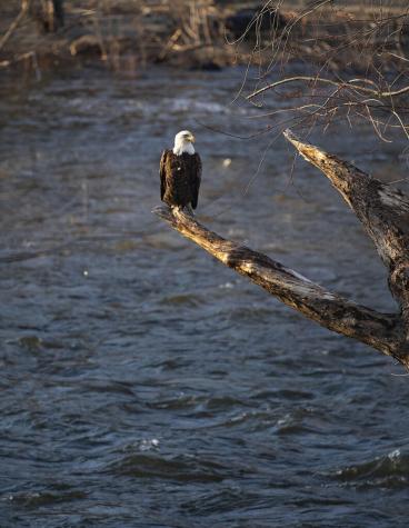 129 Philbrick Street Farmington ME 04938