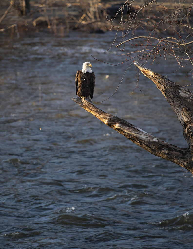 129 Philbrick Street Farmington ME 04938