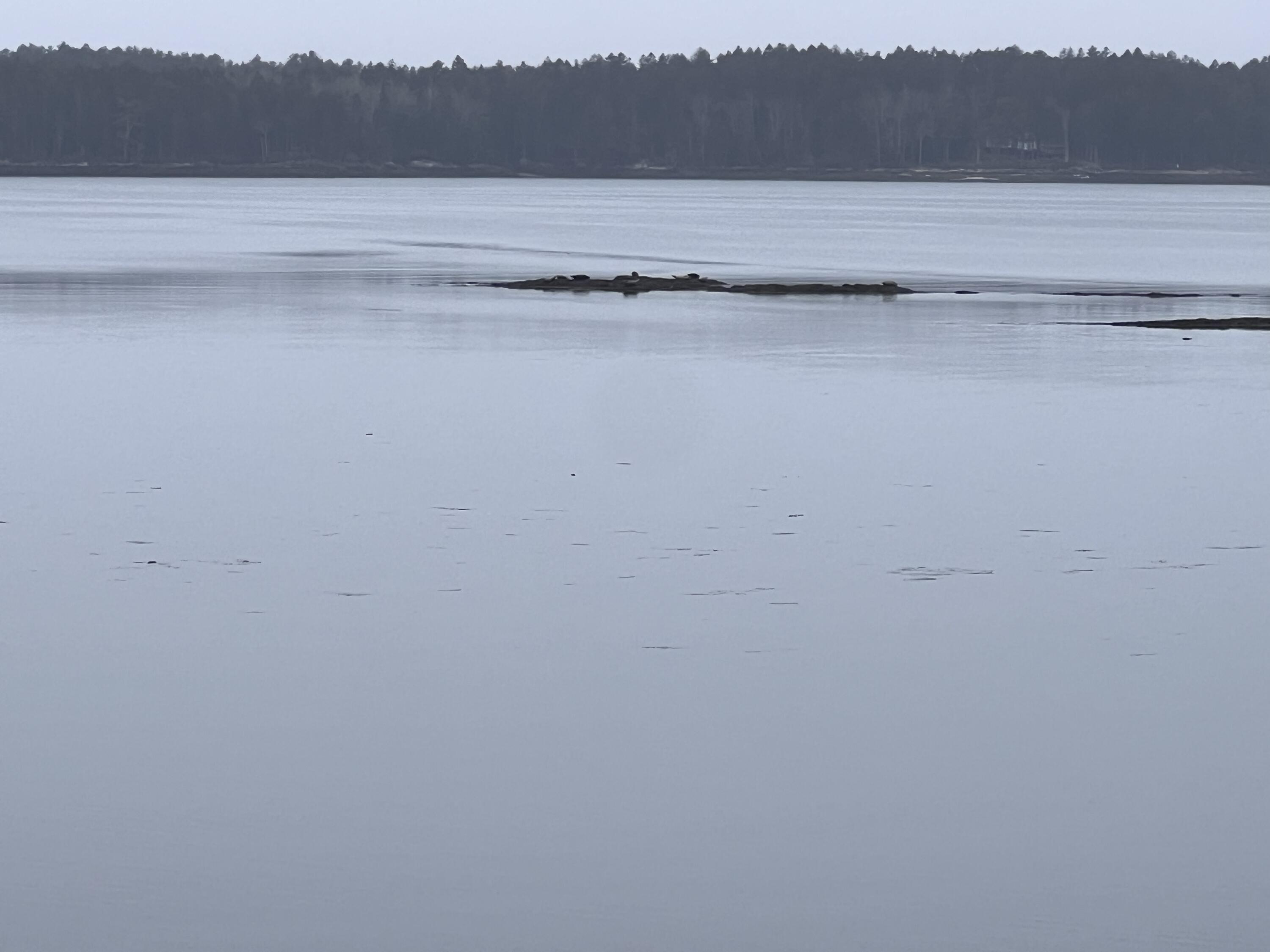 38 Samuels Landing Road Phippsburg ME 04562