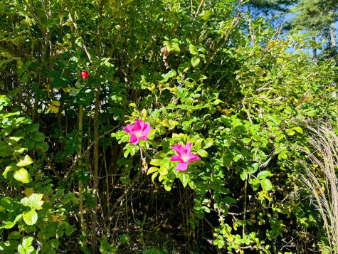 83 Barrett Way Ellsworth ME 04605