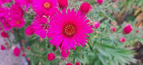 83 Barrett Way Ellsworth ME 04605