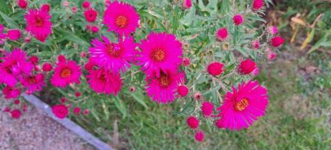 83 Barrett Way Ellsworth ME 04605