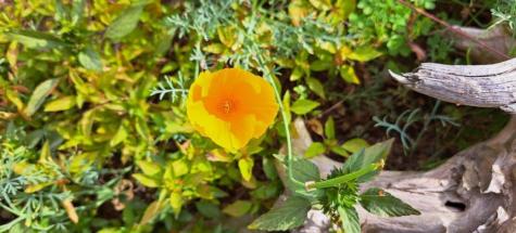 83 Barrett Way Ellsworth ME 04605