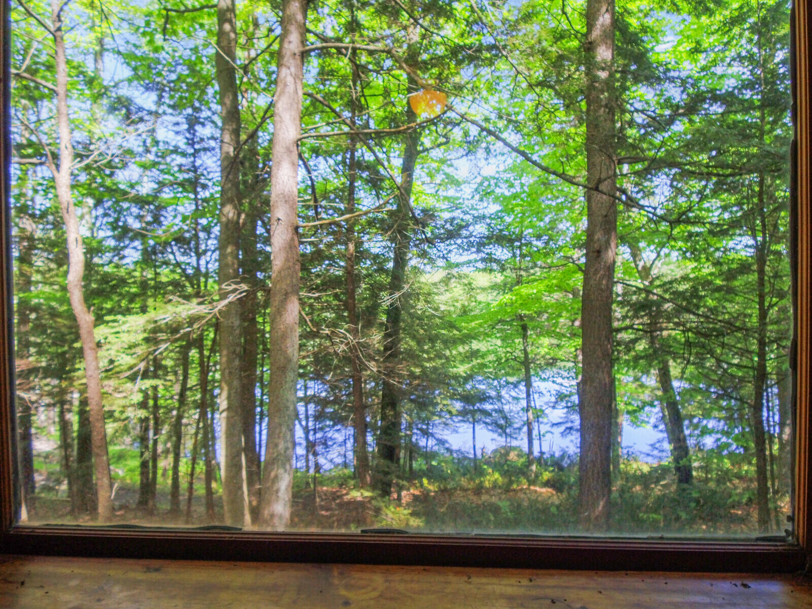 103 Taylor Woods Road Belgrade ME 04917