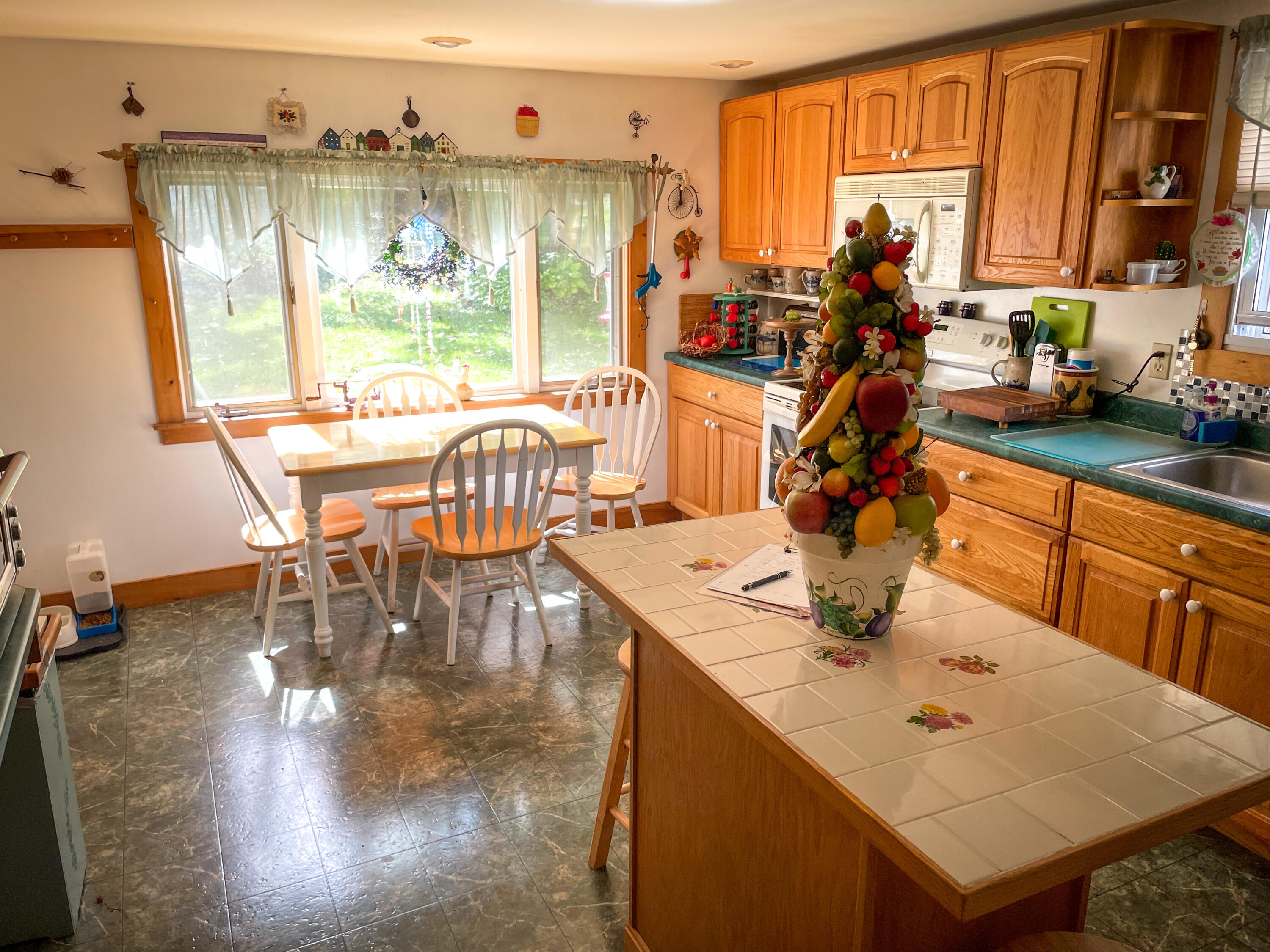 56 Elm Street Parsonsfield ME 04047