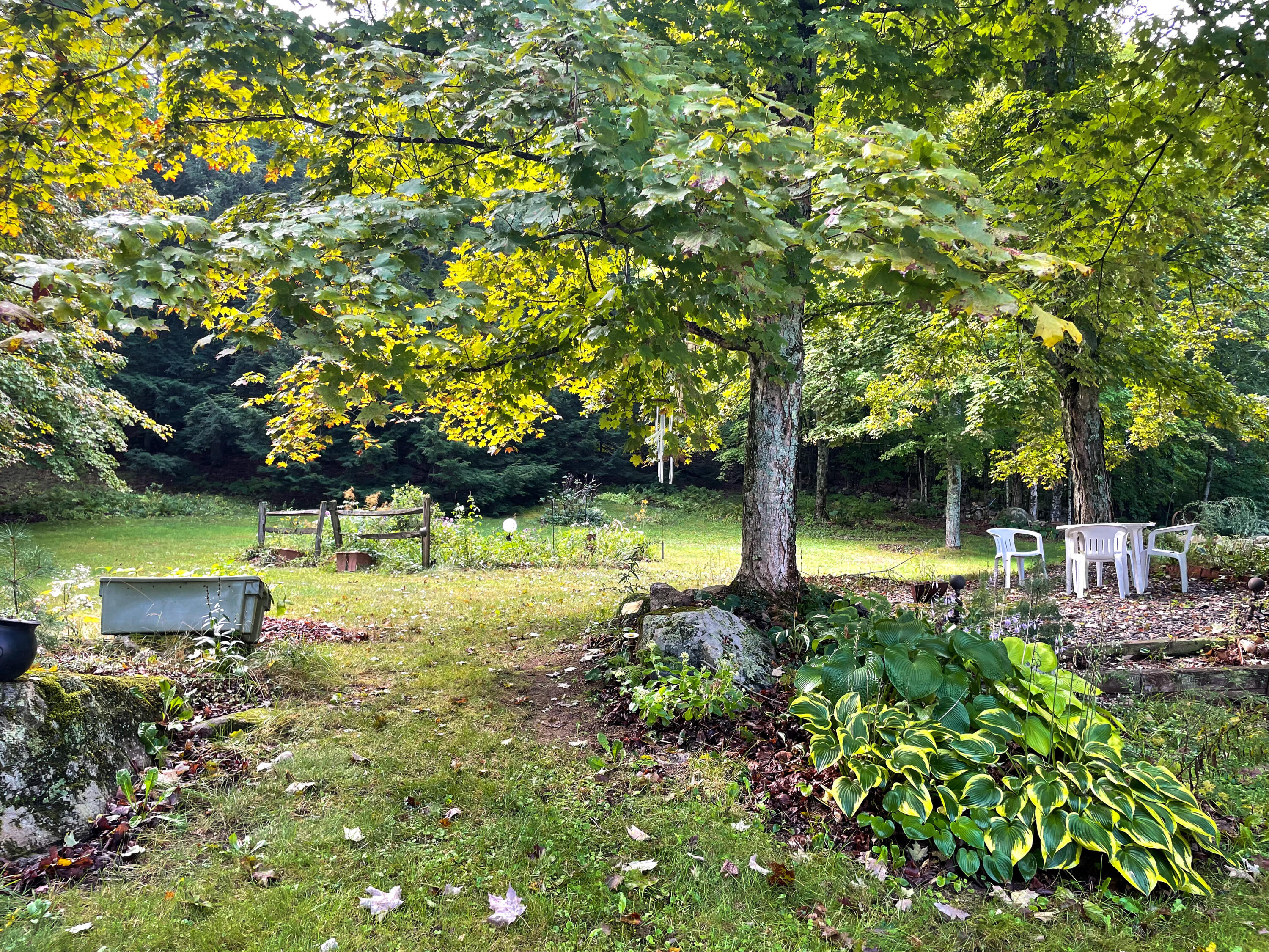 56 Elm Street Parsonsfield ME 04047